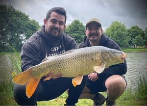 Common Carp