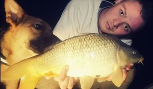 Common Carp