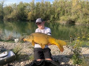 Mirror Carp