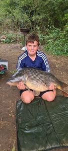 Common Carp