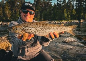 Lake Trout