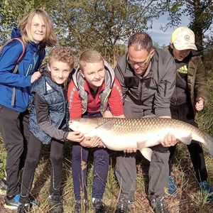 Grass Carp