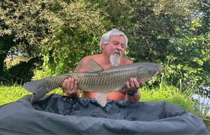 Grass Carp
