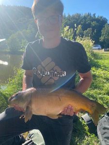 Mirror Carp