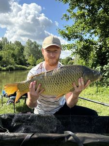 Common Carp