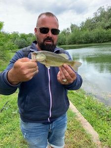 Smallmouth Bass