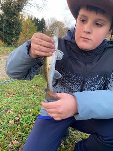 Zander