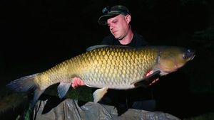 Grass Carp
