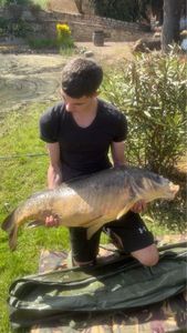 Mirror Carp