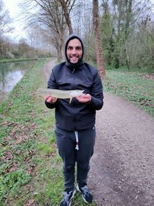 Northern Pike