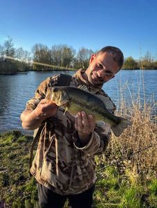 Largemouth Bass