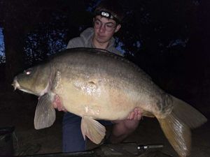 Mirror Carp
