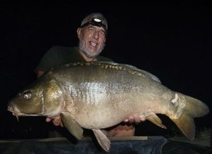 Mirror Carp