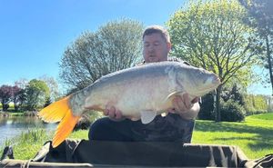 Mirror Carp