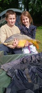 Common Carp