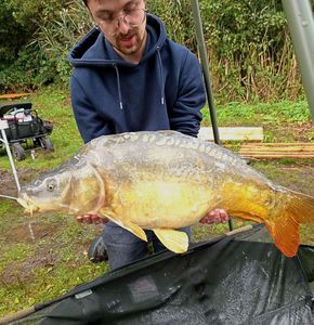 Mirror Carp