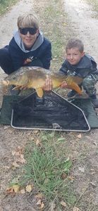 Mirror Carp