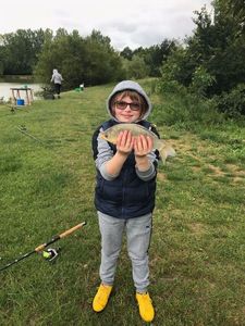 Crucian Carp