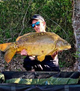 Mirror Carp