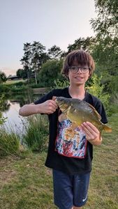 Mirror Carp