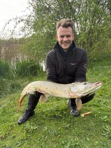 Northern Pike