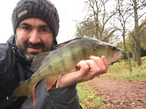 European Perch