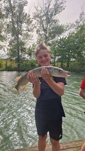 Northern Pike
