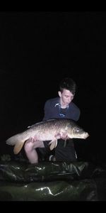 Common Carp