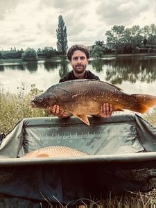 Mirror Carp