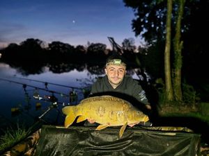 Mirror Carp