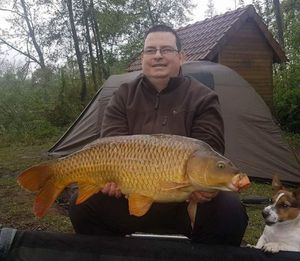Common Carp