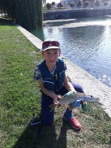 Northern Pike