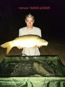 Leather Carp