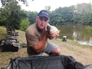Common Carp