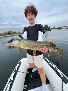 Northern Pike