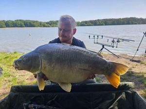 Mirror Carp
