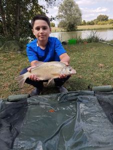 Blue Bream