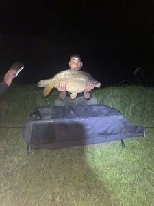 Mirror Carp