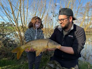 Common Carp