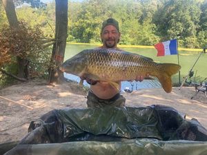 Common Carp