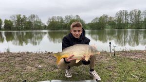 Common Carp