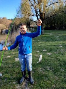 Rainbow Trout