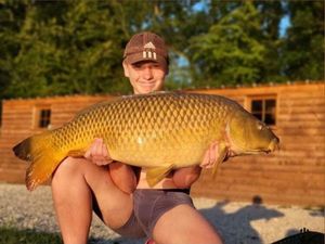 Common Carp