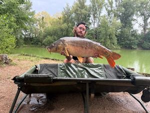 Mirror Carp