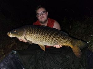 Mirror Carp