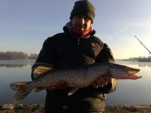 Northern Pike
