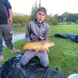 Mirror Carp