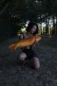 Koï Fish