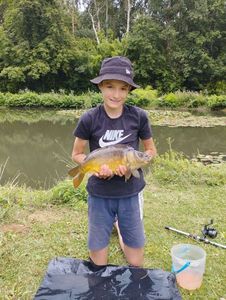 Mirror Carp