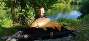 Mirror Carp